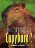 What On Earth Is A Capybara?