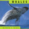 Whales