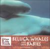 Beluga whales and their babies