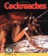 Cockroaches