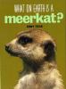 What on earth is a meerkat?