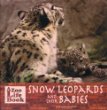 Snow leopards and their babies