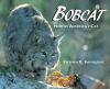 Bobcat : North America's cat