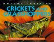 Crickets and grasshoppers