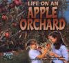 Life on an apple orchard