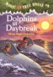 Dolphins at daybreak /# 9
