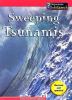 Sweeping tsunamis /.