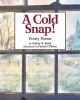 A cold snap! : frosty poems