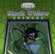Black widow spiders /.