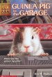 Guinea pig in the garage