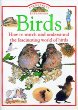Birds : How to watch and understand the fascinating world of birds.