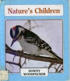 Downy woodpecker /.