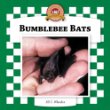 Bumblebee bats /.