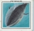 Fin whales /.