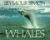Whales /.