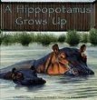 A hippopotamus grows up