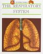 The respiratory system /.