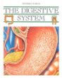 The digestive system /.