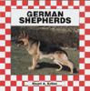 German Shepherd.