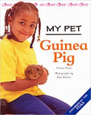 Guinea pig /.