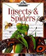 Insects & spiders