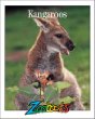 Kangaroos.