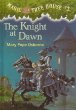 The knight at dawn /# 2