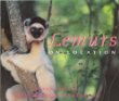 Lemurs on location