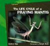 The Life Cycle Of A Praying Mantis