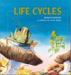 Life cycles