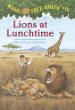 Lions at lunchtime /# 11