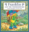 Franklin and the thunderstorm /.