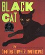 Black cat