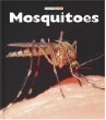 Mosquitoes