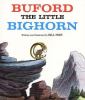 Buford, the little bighorn