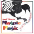 April Wilson's magpie magic : a tale of colorful mischief.