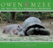 Owen & Mzee : the true story of a remarkable friendship