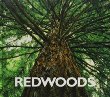 Redwoods