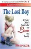 The lost boy : a foster child's search for the love of a family