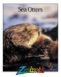 Sea Otters.