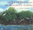 The sea, the storm, and the mangrove tangle