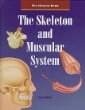 The Skeleton and Muscular System.