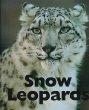 Snow leopards