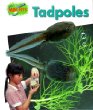 Tadpoles