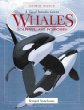 A visual introduction to whales, dolphins, and porpoises