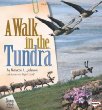 A walk in the tundra