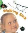 Walking stick