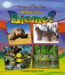 What is a biome?