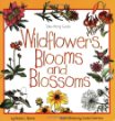 Wildflowers, blooms, and blossoms