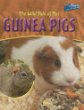 The wild side of pet guinea pigs
